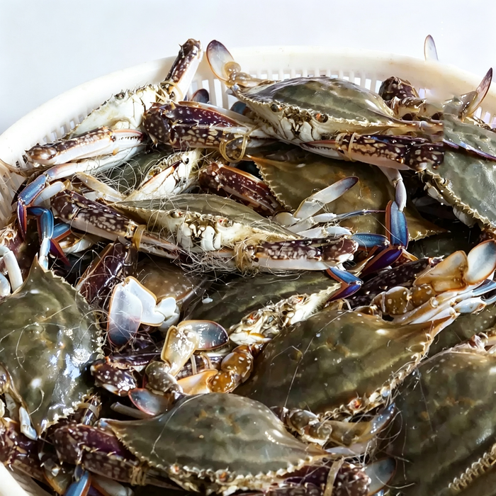 CRAB SERIES